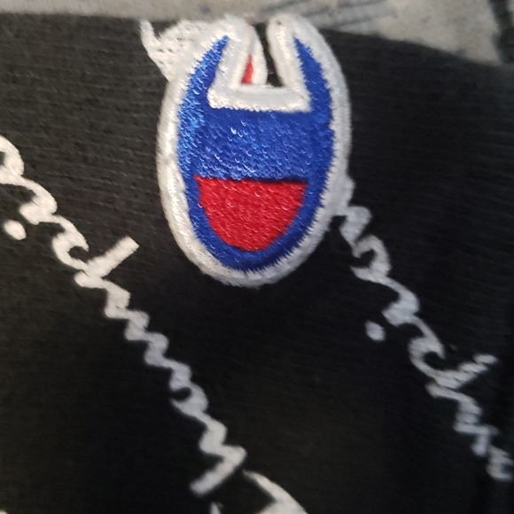 Champion - Picture 3 of 4